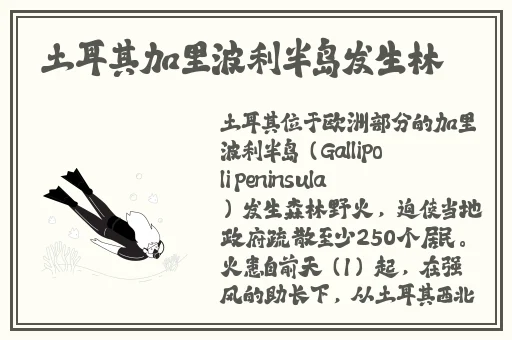 最新果冻传媒MV在线观看视频
